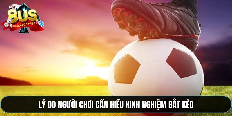 Kinh nghiệm bắt kèo – Bí quyết soi kèo từ cao thủ 8US 2 Lý do người chơi cần hiểu kinh nghiệm bắt kèo